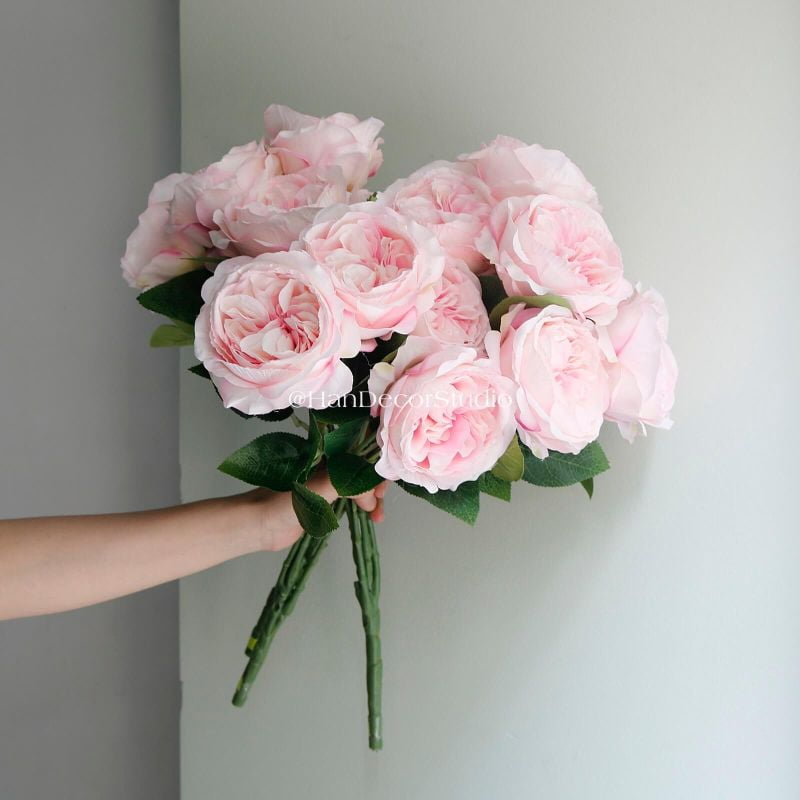 Bụi hồng David hồng pastel 6 hoa