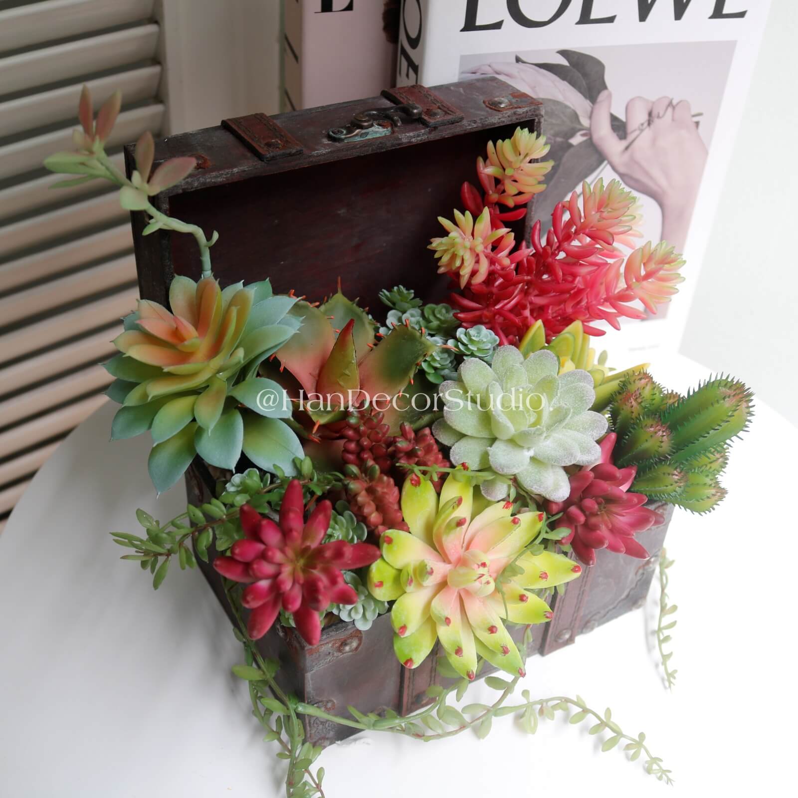 Chậu hoa sen đá để bàn HDC22