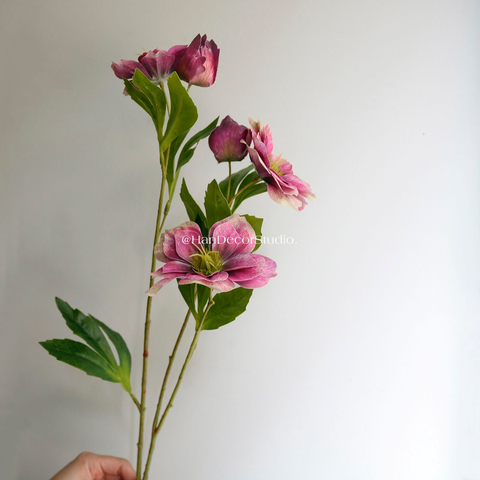 Cành hoa hồng Tuyết Helleborus/1pcs