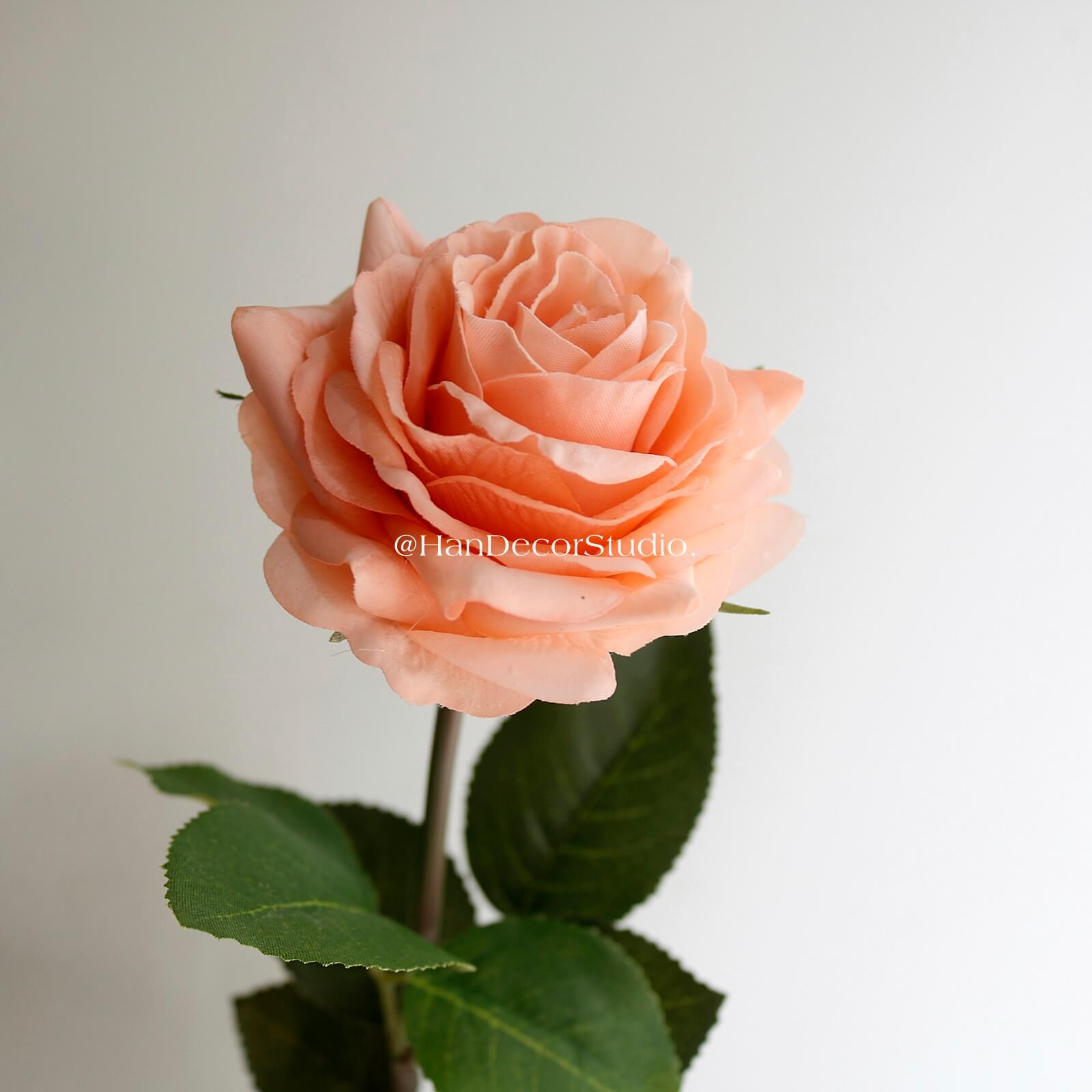 Cành hồng Ohara Hà Lan/1pcs(HẾT HÀNG)